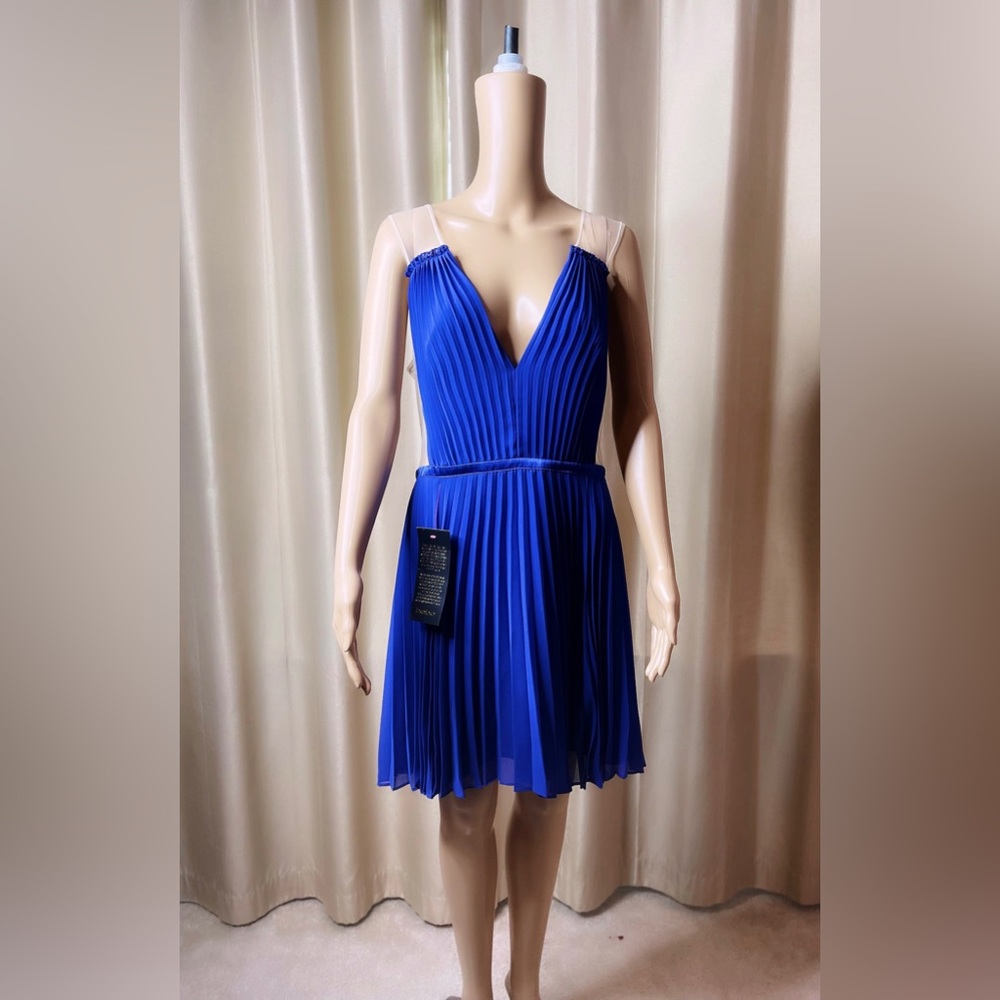 Bebe Mesh Pleated Dress